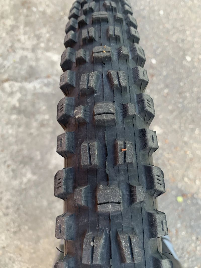 GT Sensor carbon expert