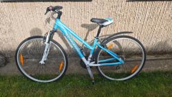 Schwinn