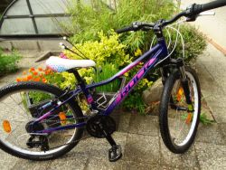 Rock Machine Catherine 24"