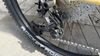 Surly Bridge Club