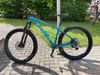 Trek Roscoe 7