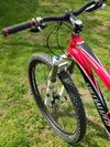 Specialized Stumpjumper FSR