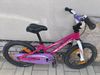 Specialized Hotrock 16