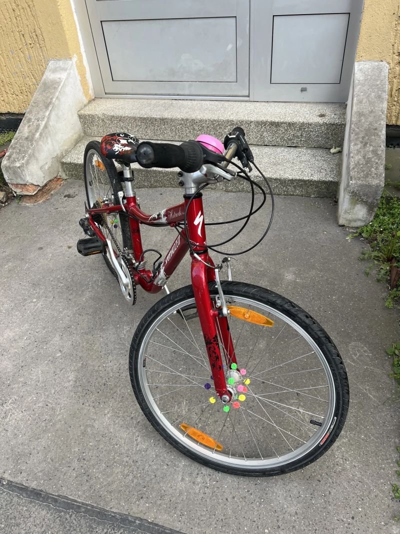 Specialized Hotrock 24
