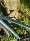 Cube Nuroad race