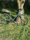 Cube Nuroad race