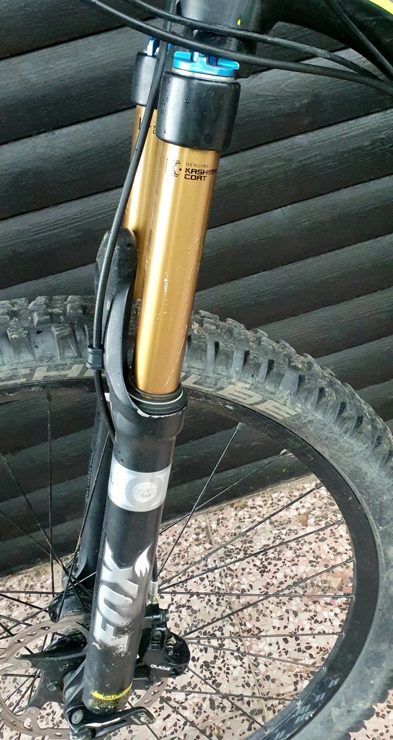 Specialized Stumpjumper Evo