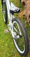 Specialized P3
