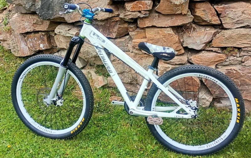 Specialized P3