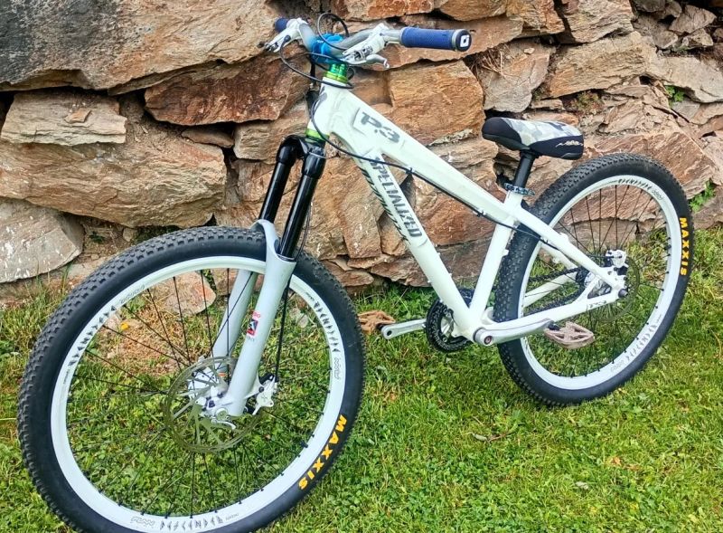 Specialized P3