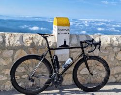 Genesis Equilibrium Reynolds 853