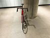 CBT italia Nacer Carbon kolo