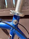 Schwinn Mesa GS