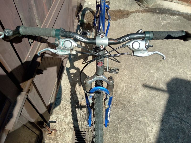 Schwinn Mesa GS