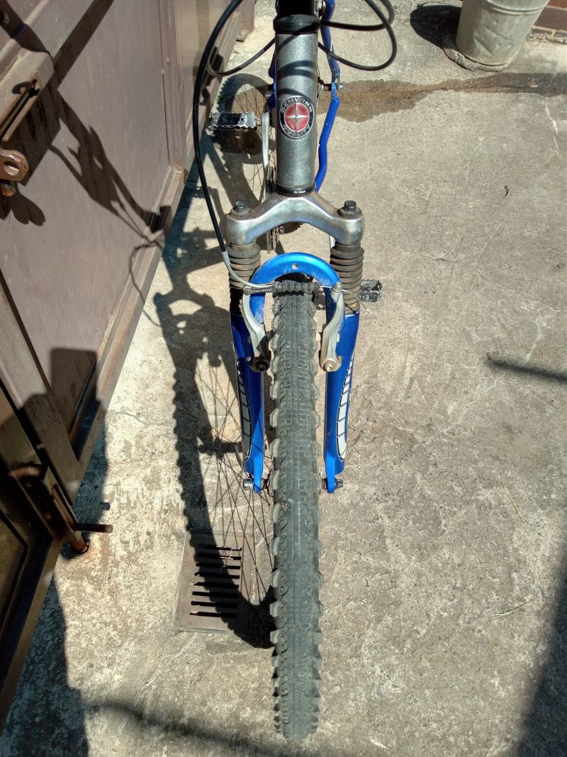 Schwinn Mesa GS