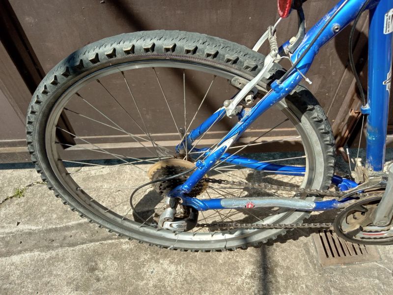 Schwinn Mesa GS