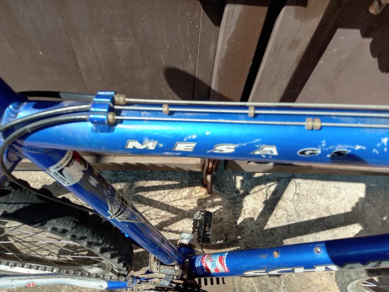 Schwinn Mesa GS