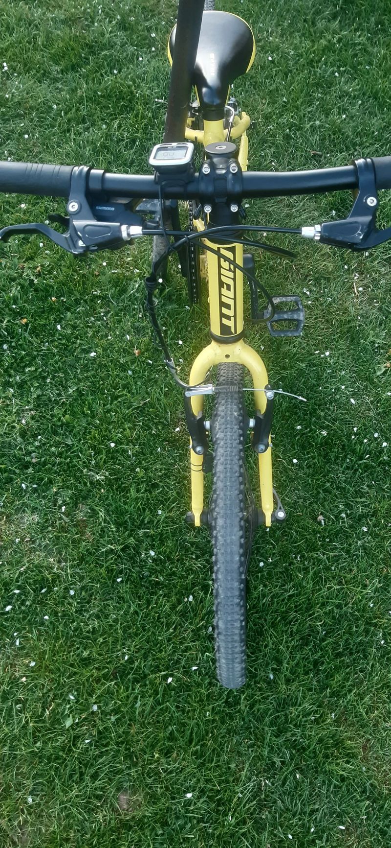 Giant Arx 20
