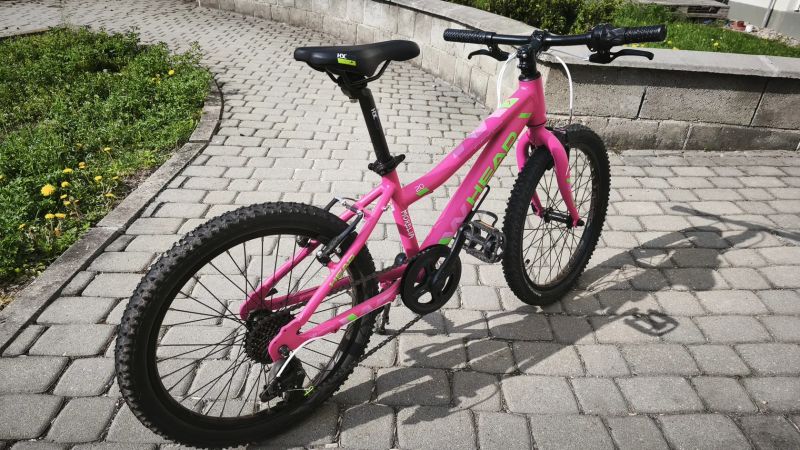 Head Morelia 20
