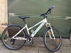 Leader Fox Maxim 26