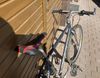 Kultovní Vintage horské kolo 26" Marin Shimano STX RC