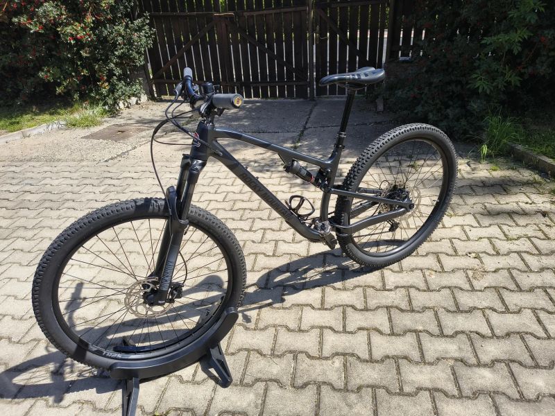 Rocky Mountain Element 10