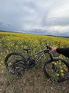 Trek Slash 8