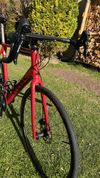 Canyon Ultimate CF SL 7 Disc XL