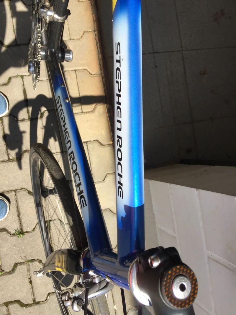 Stephen Roche silniční