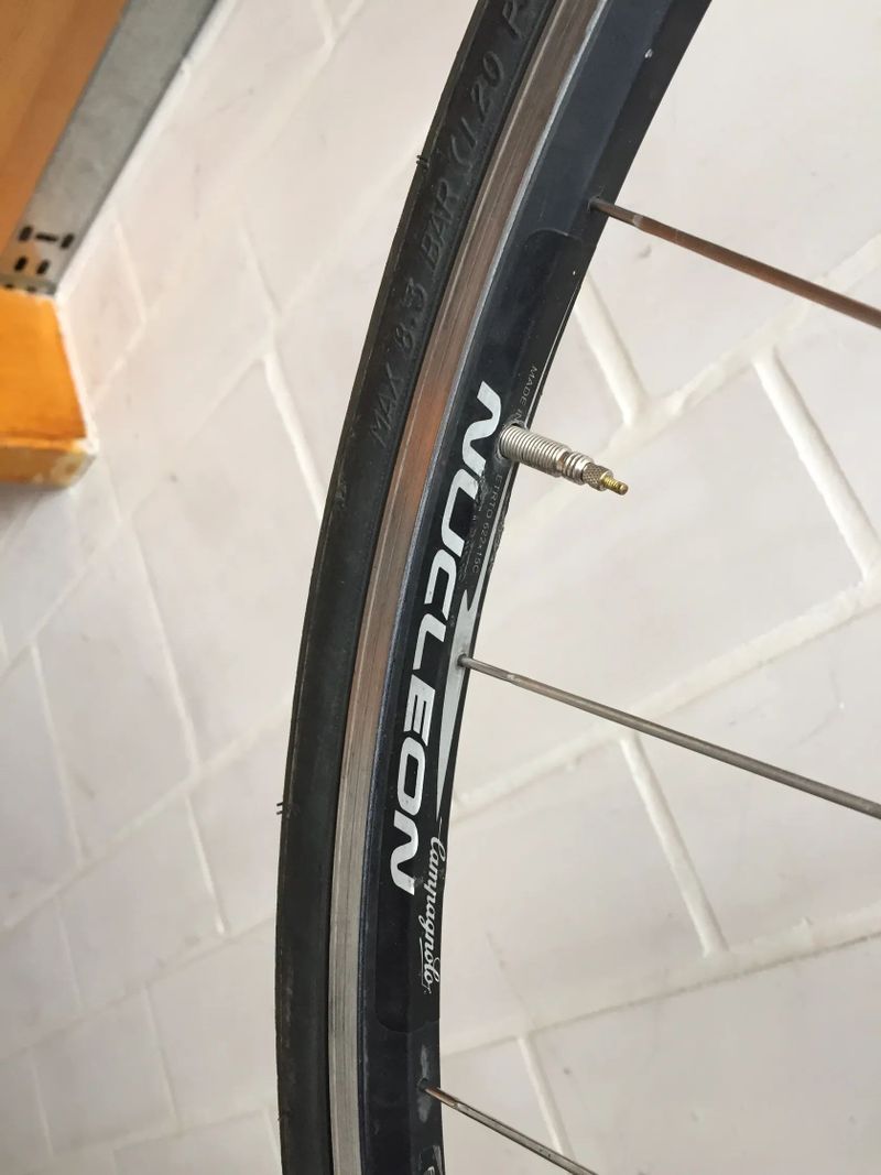 Stephen Roche silniční