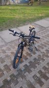 Kellys Lumi 90