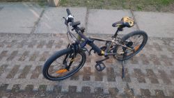 Kellys Lumi 90