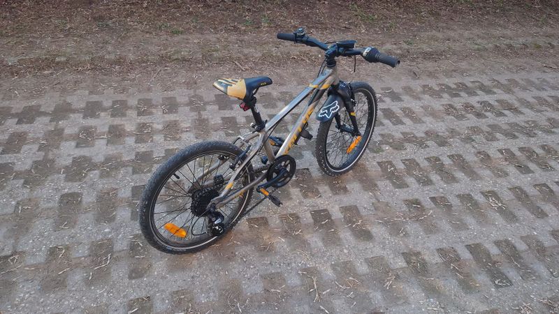 Kellys Lumi 90