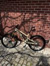 Pivot Firebird 29 Pro XO1