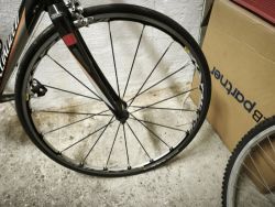 Specialized Roubaix