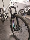 Rock Shox domain 180mm