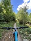 Yeti Sb 115, 2021, Velikost L, Sram XX1 AXS