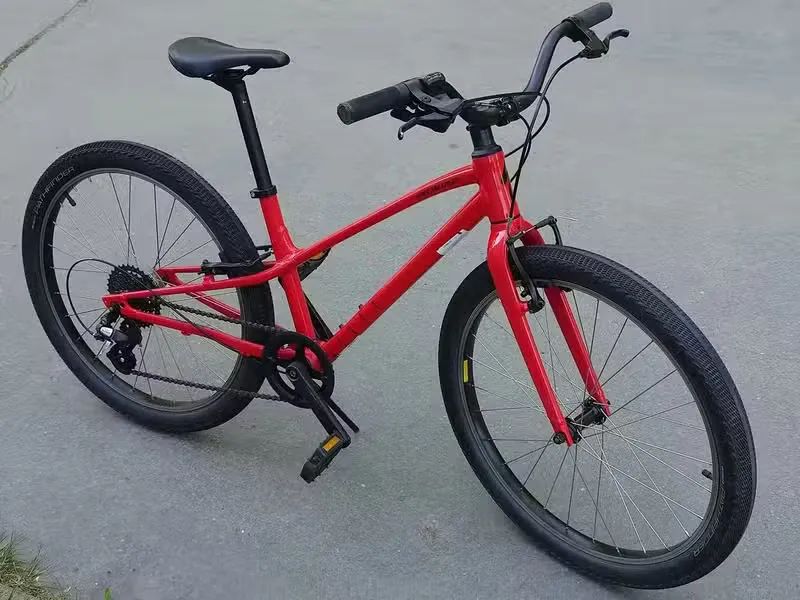 Specialized Jett 24