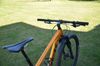 Trek xcaliber 9