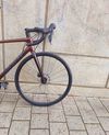 silniční karbonové kolo Giant TCR Advanced Disc 2 Bronz 