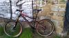 Cube Stereo SL 160 Fox Kashima