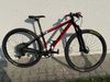 Duratec Torain