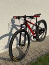 Duratec Torain