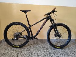 Trek Roscoe 7