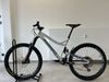 Propain Tyee Pro 10 L