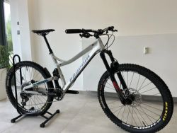 Propain Tyee Pro 10 L