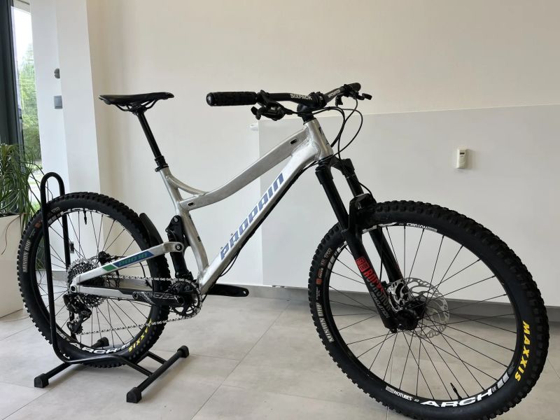 Propain Tyee Pro 10 L