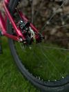 Dirtking Pro
