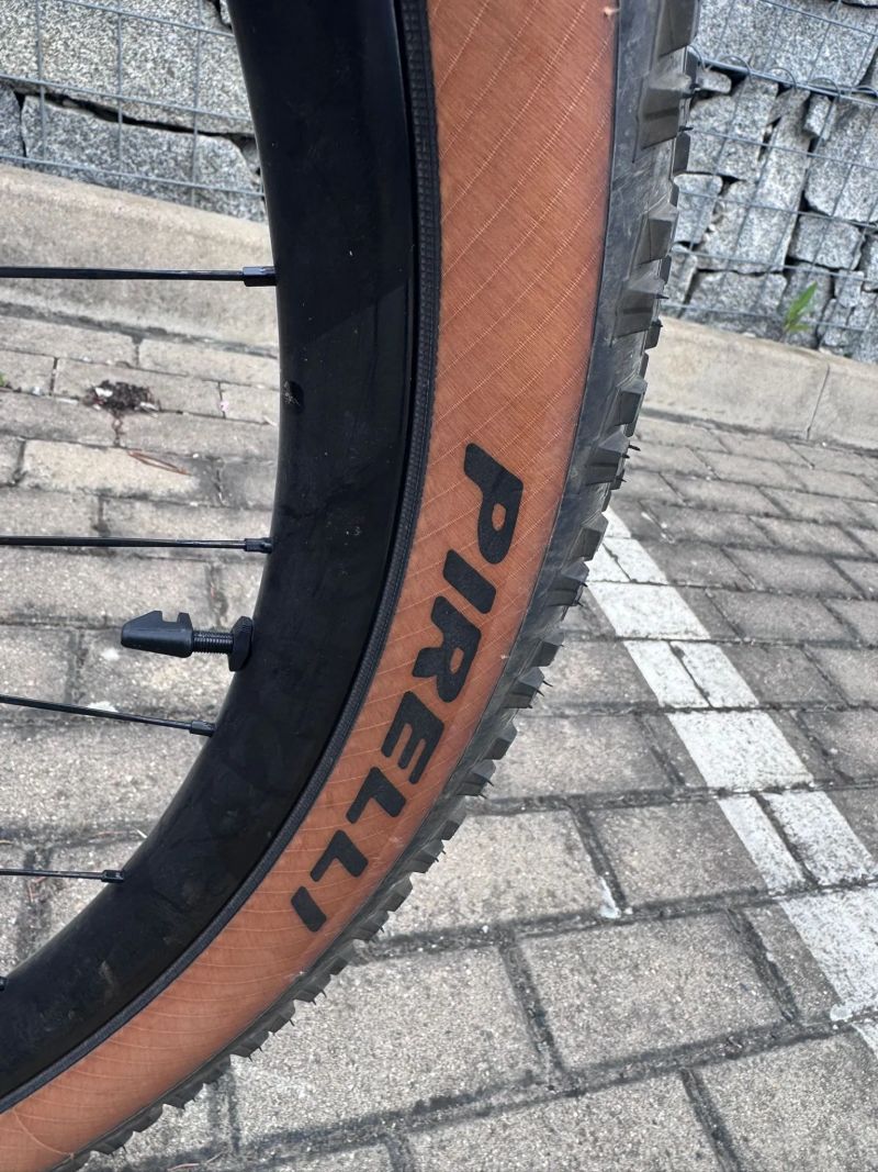 Pinarello DOGMA XC Hardtail