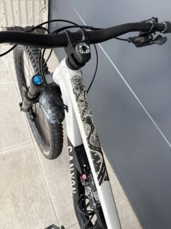 Canyon Spectral 125 al6